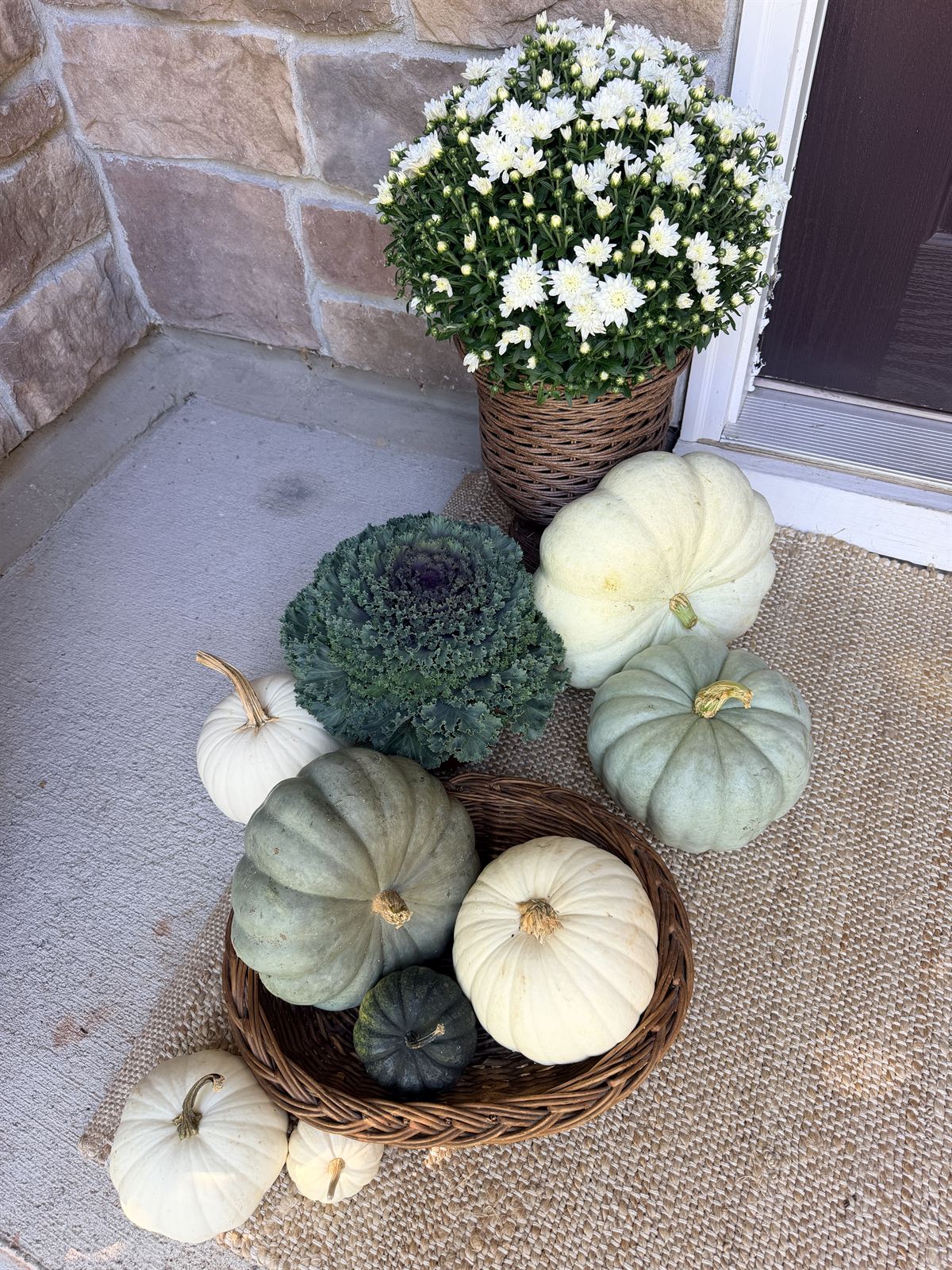 Basket of white and sage heirloom pumpkins with an ornamental cabbage beside white mums at a front door, Raleigh NC