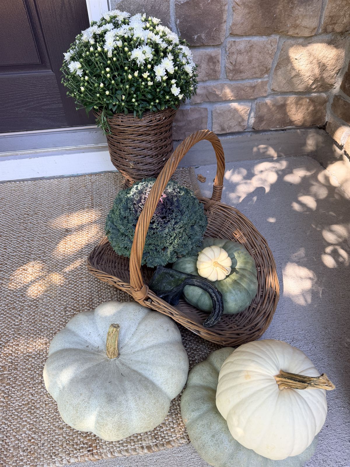 Wicker basket with an ornamental cabbage and sage pumpkins next to white mums on a stone porch, Wake County NC