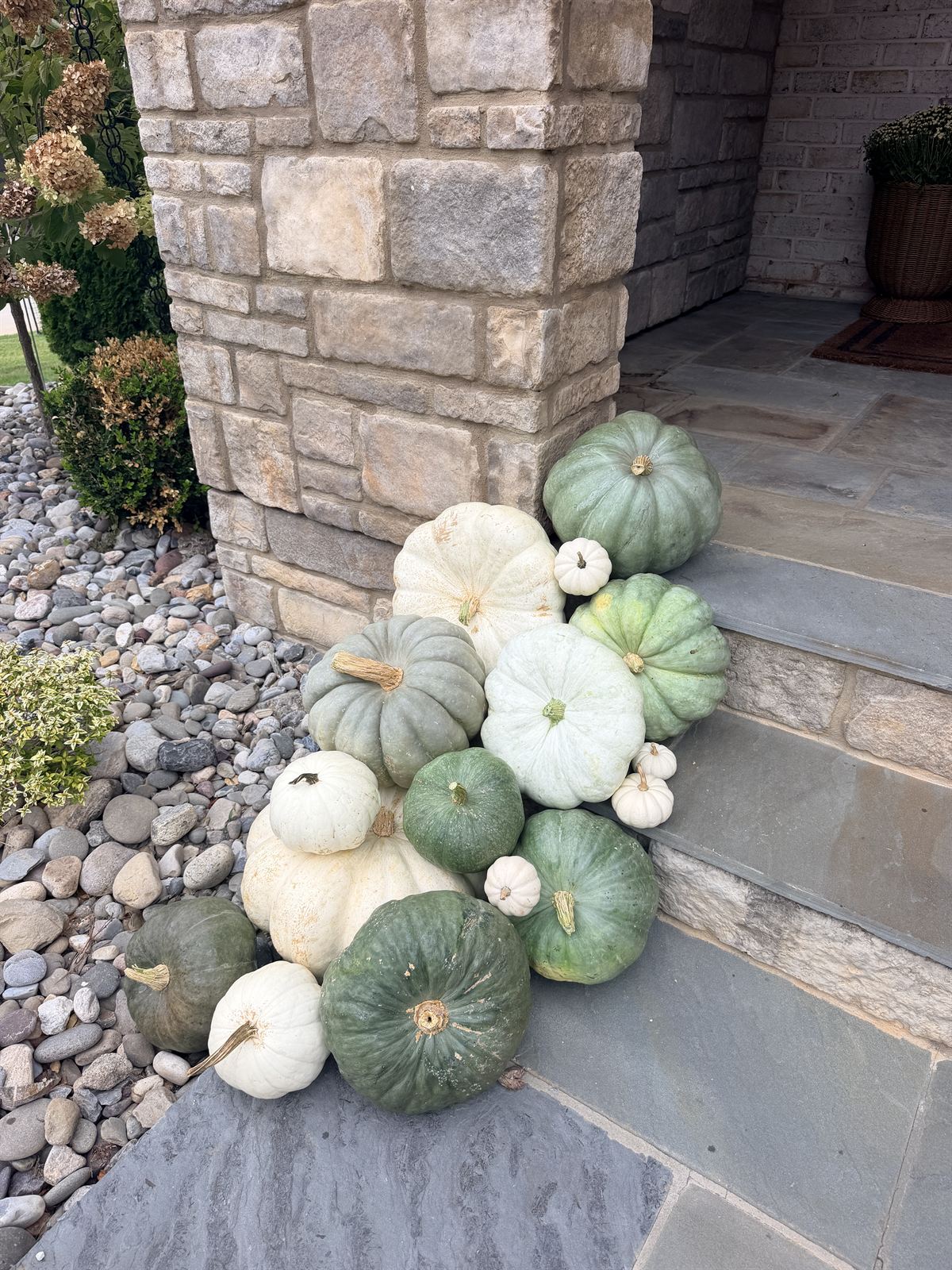 Cascade of sage, white and green heirloom pumpkins down bluestone steps beside a stone column, Raleigh NC