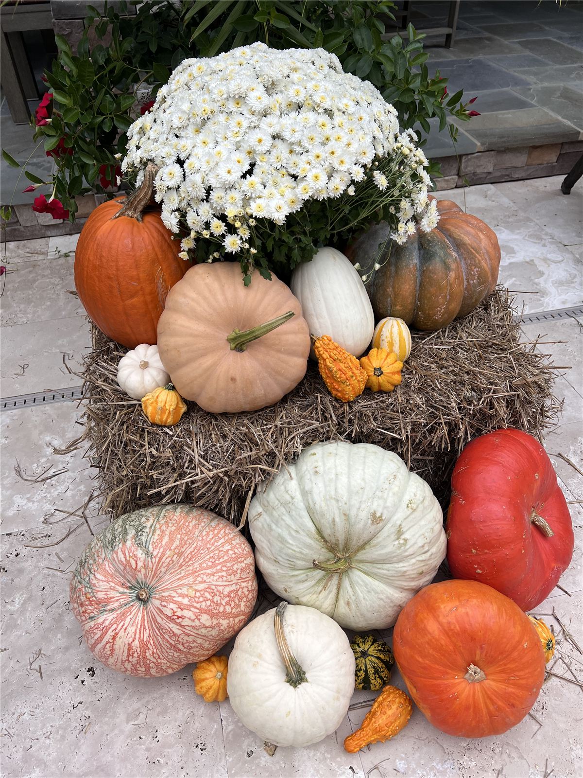 Fall porch decorating with pumpkins and gourds by Fall Porch Charm