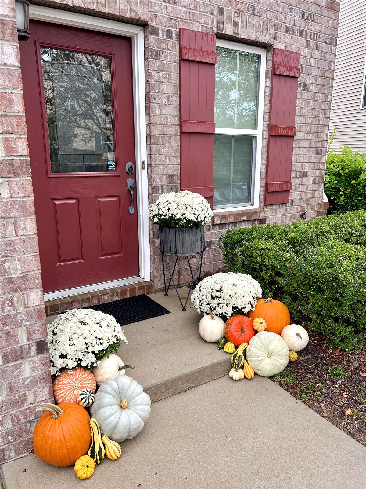 Front porch fall decor with white mums and heirloom pumpkins, Triangle NC
